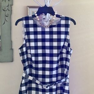 J. Crew Blue and White Checkered Dress